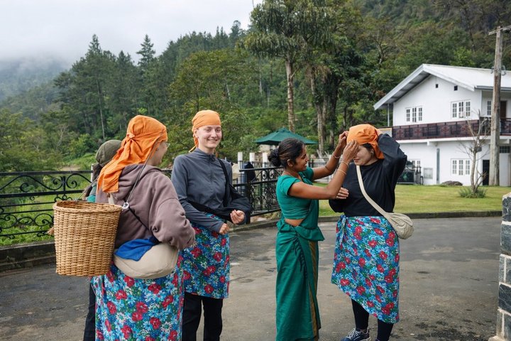 Nuwara Eilya Tea Plucking &Tasting waterfalls tours