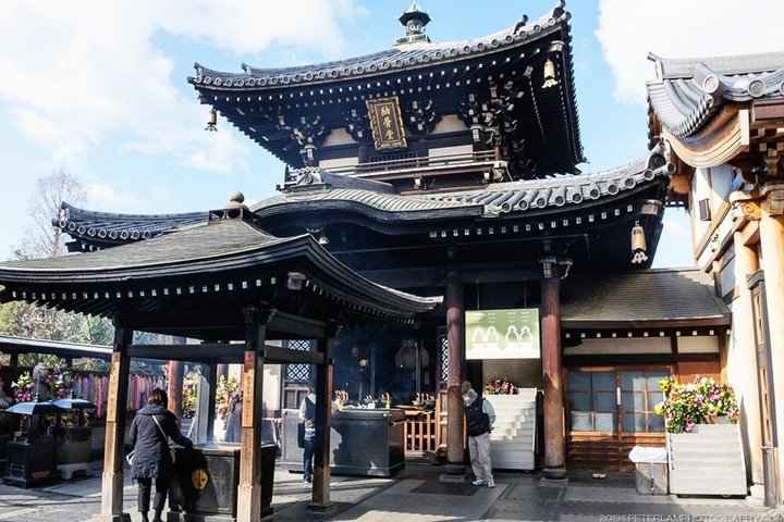 Osaka's Best Gems - Private Shore Excursion from Osaka Ports