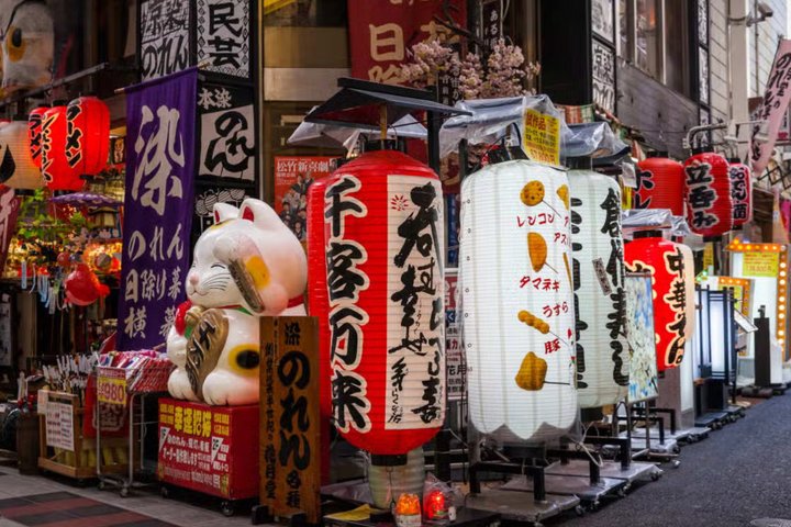 Osaka's Best Gems - Private Shore Excursion from Osaka Ports