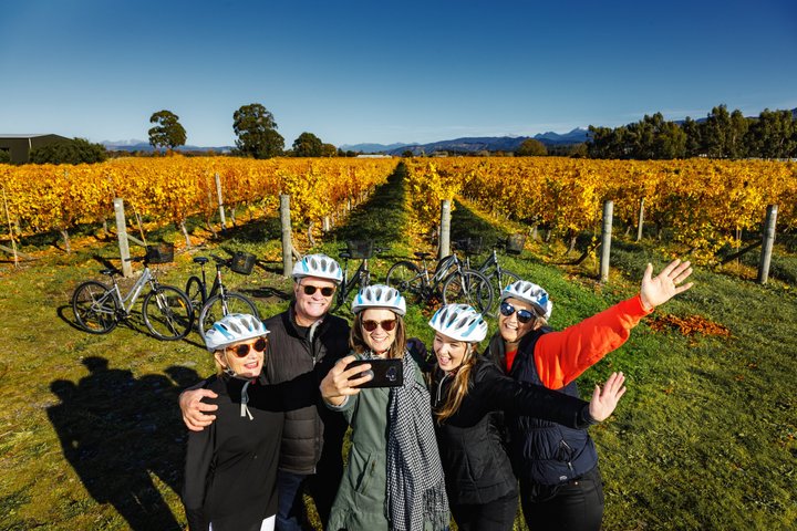Self-Guided Biking Wine Tour (full day) in the Marlborough Region.