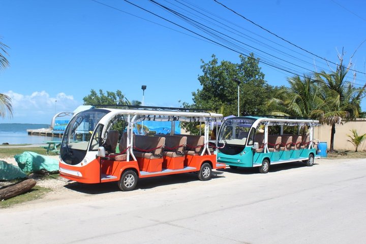 TukTuk Belize City Sightseeing Tour