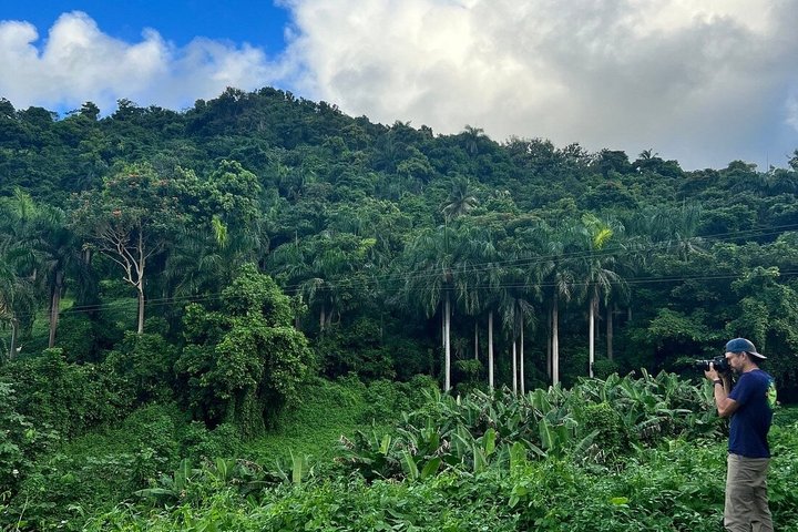 El Yunque Ziplining in Puerto Rico