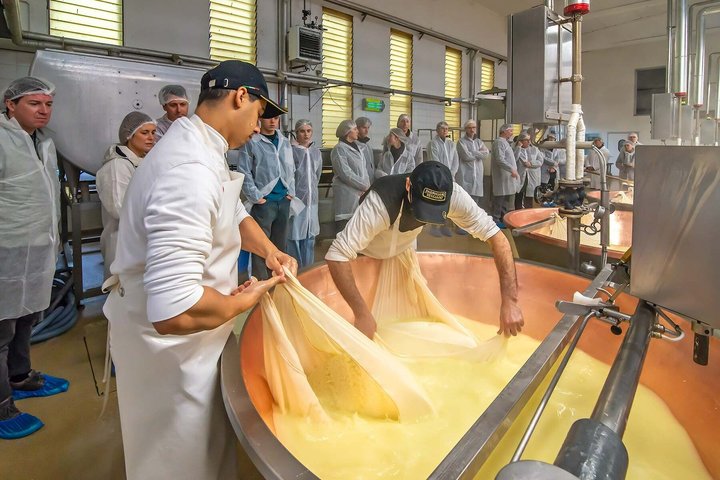 Bologna Food Experience: Factory tours & Lunch By Italian Days