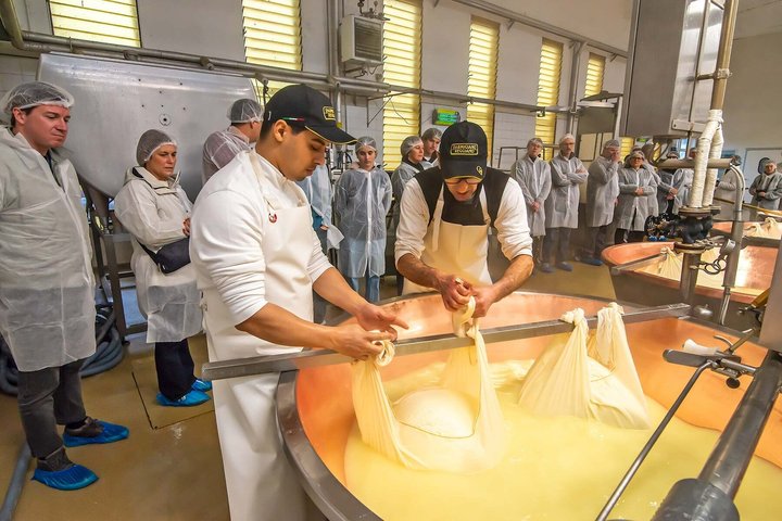 Bologna Food Experience: Factory tours & Lunch By Italian Days