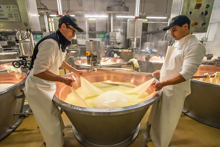 Bologna Food Experience: Factory tours & Lunch By Italian Days