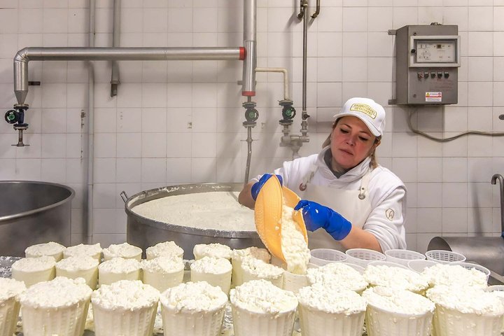 Bologna Food Experience: Factory tours & Lunch By Italian Days