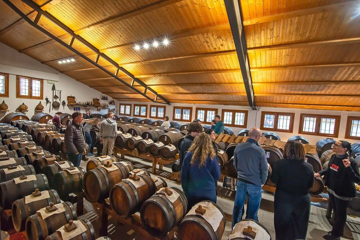 Bologna Food Experience: Factory tours & Lunch By Italian Days