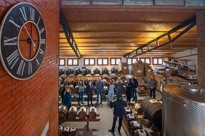 Bologna Food Experience: Factory tours & Lunch By Italian Days