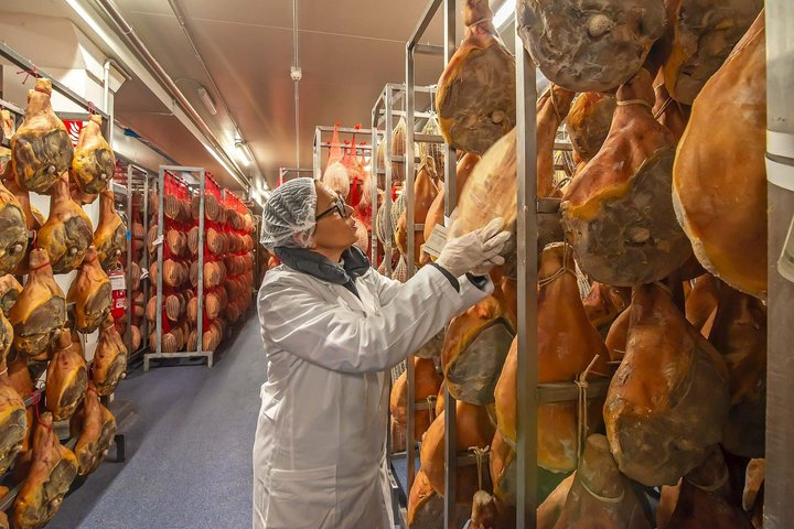 Bologna Food Experience: Factory tours & Lunch By Italian Days