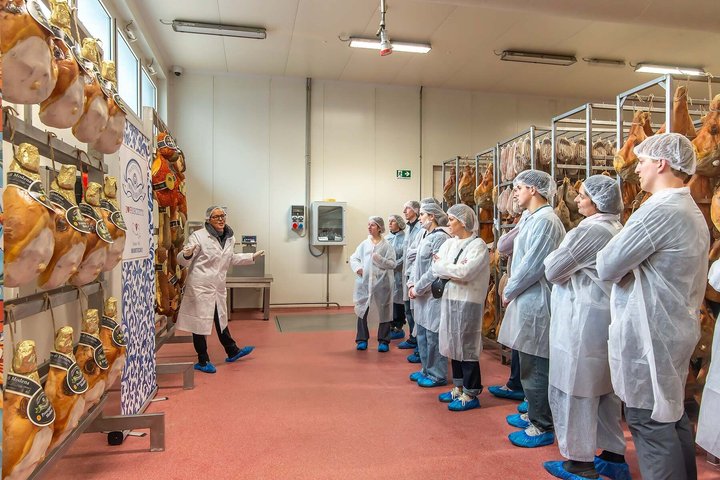 Bologna Food Experience: Factory tours & Lunch By Italian Days