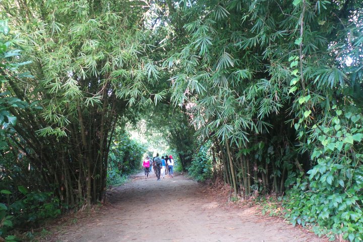 Commewijne Plantation Tour