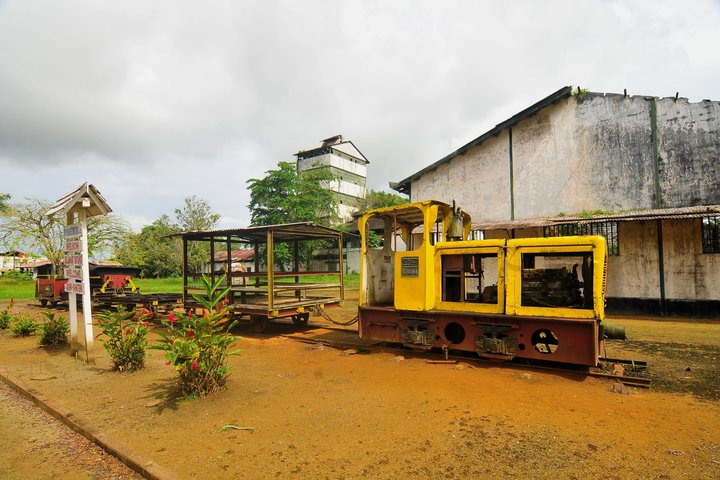 Commewijne Plantation Tour
