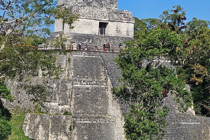 Private Tour with VIP Service Tikal Guatemala