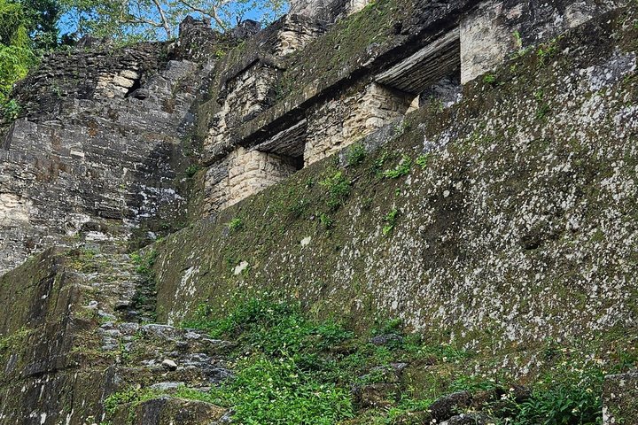 Private Tour with VIP Service Tikal Guatemala