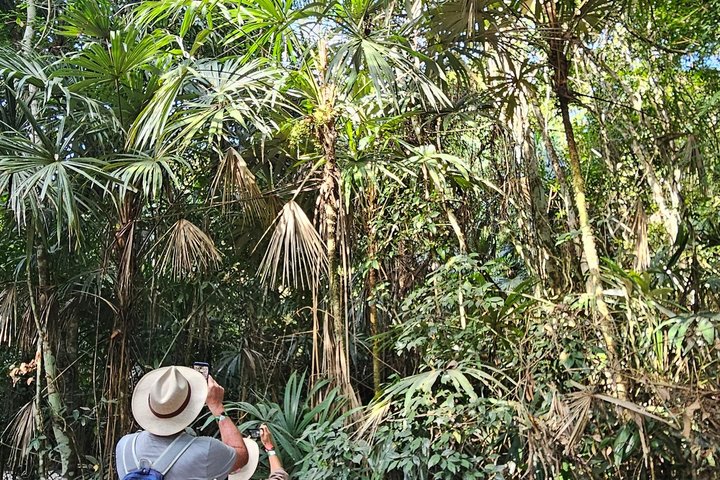 Private Tour with VIP Service Tikal Guatemala