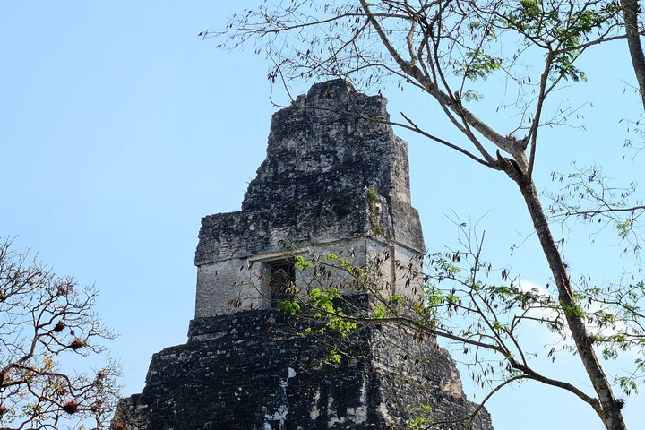 Tikal Sunset Tour from Flores