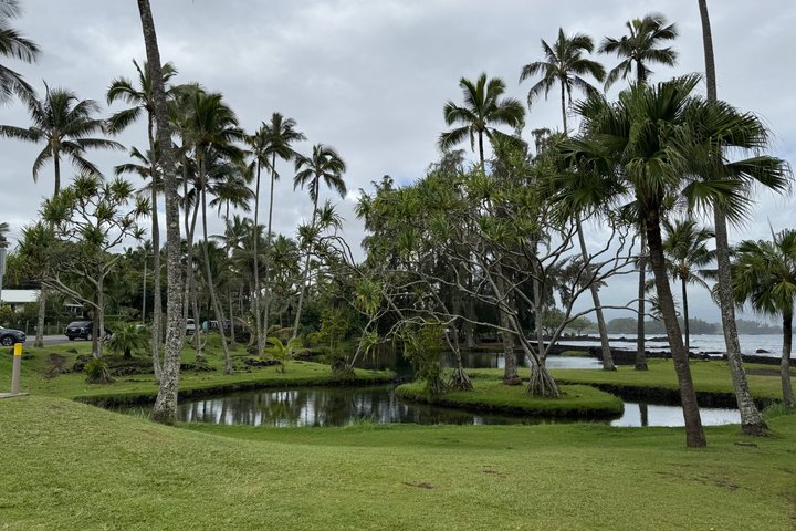 Akaka Falls Tour - Volcanoes National Park and Hilo Discovery