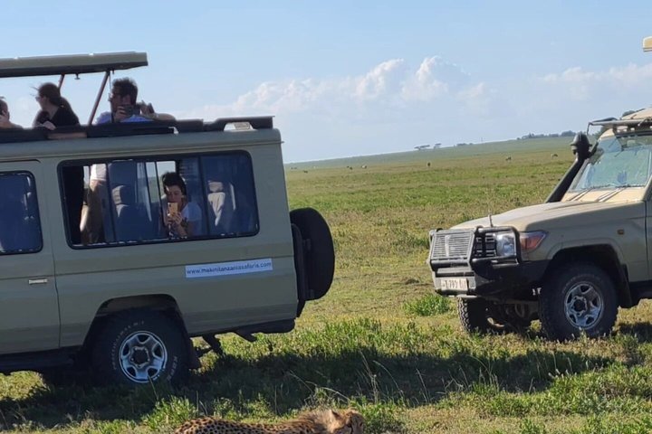 3-Day Serengeti and Ngorongoro Safari with Guide