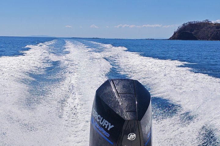 Tortuga Island Private Full-Day Boat Tour