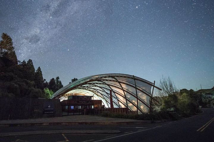 Waitomo Glowworm Caves Guided Tour