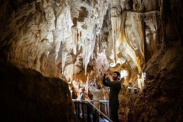 90-Minute Guided Ruakuri Cave Tour Waitomo