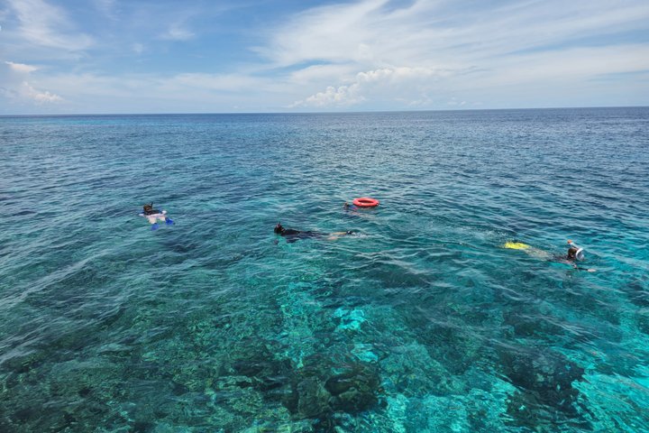 Snorkeling Day Trip Semporna: 3 Locations
