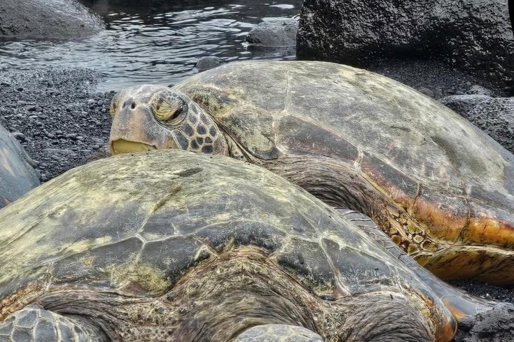 Hilo Shore Excursion: Visit Volcano, Waterfall, Beach with Lunch