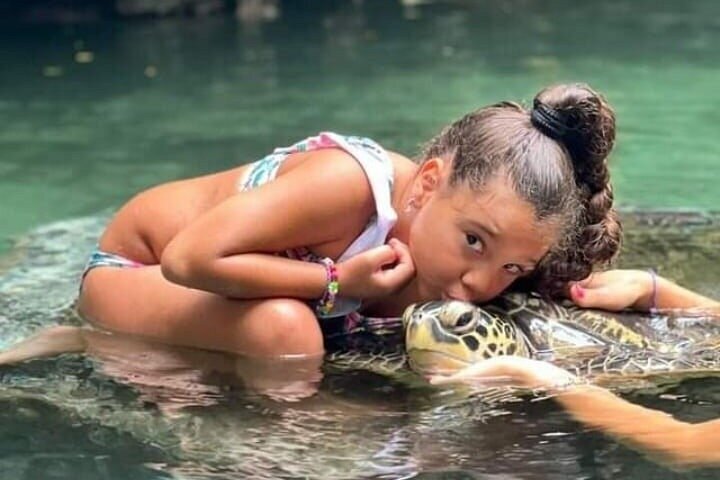 Swimming with Sea Turtles and Jozani Forest in Zanzibar
