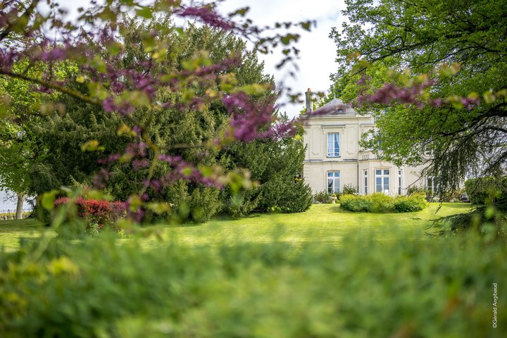 From Vine to Wine at Domaine Beaumont Distré-Saumur