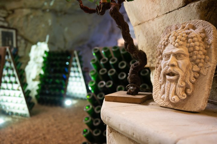 From Vine to Wine at Domaine Beaumont Distré-Saumur