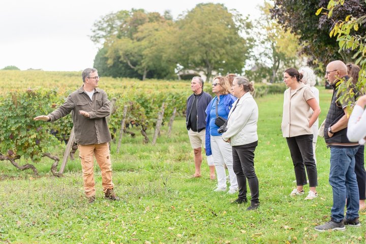 From Vine to Wine at Domaine Beaumont Distré-Saumur