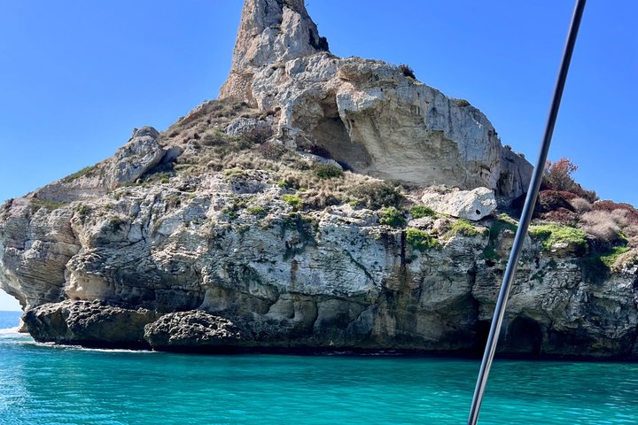 Catamaran tour stops bathing and snorkeling toast with prosecco