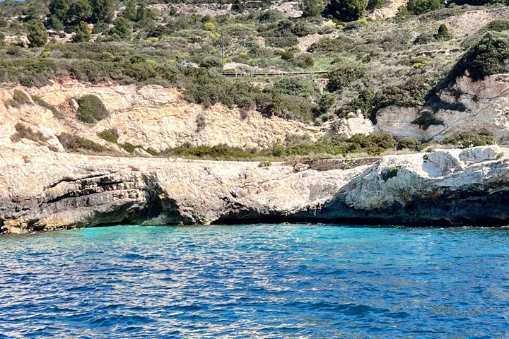 Catamaran tour stops bathing and snorkeling toast with prosecco
