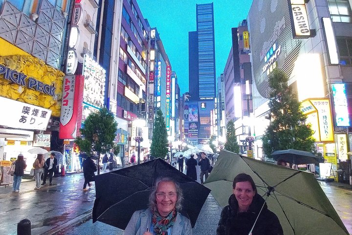 Best of Tokyo Private Tour from Yokohama & Tokyo Ports or Hotels