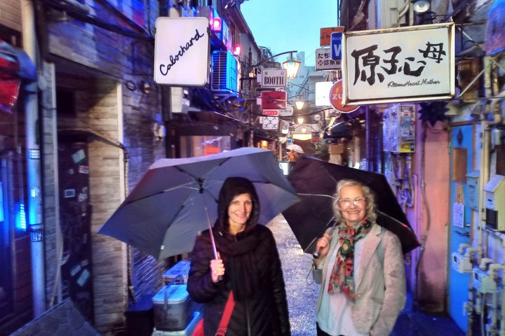 Best of Tokyo Private Tour from Yokohama & Tokyo Ports or Hotels