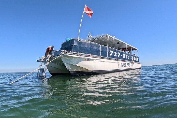 4 Hour Egmont Key Island Tour With Dolphins & Snorkeling Included