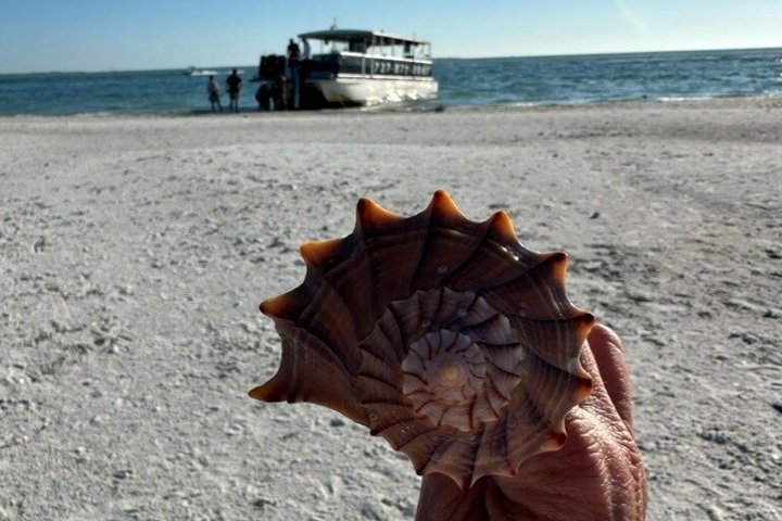 4 Hour Egmont Key Island Tour With Dolphins & Snorkeling Included