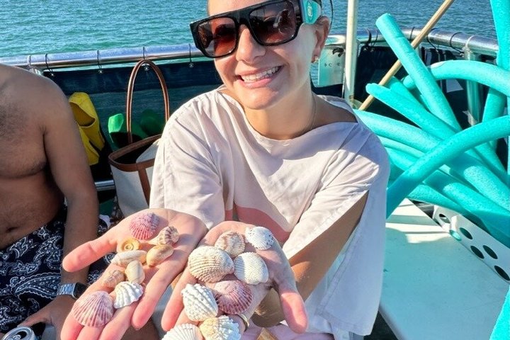 2.5 Hour Shell Key Island Adventure Including Dolphins And Shells