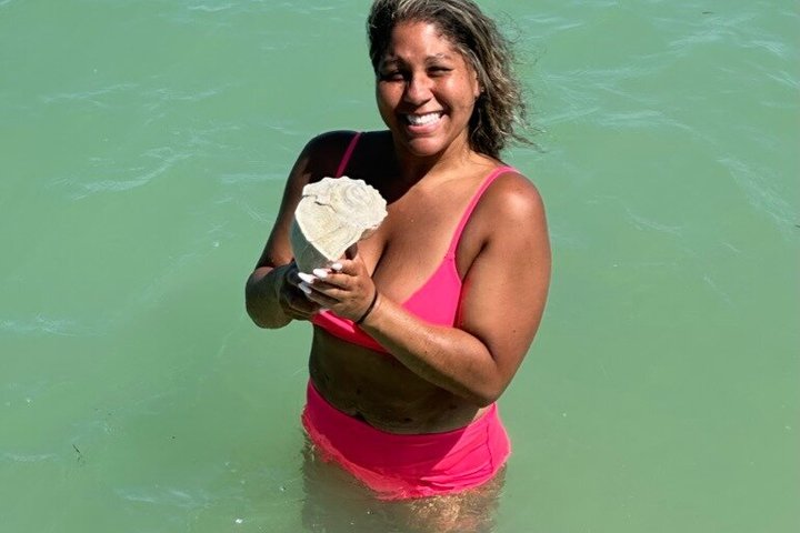 2.5 Hour Shell Key Island Adventure Including Dolphins And Shells