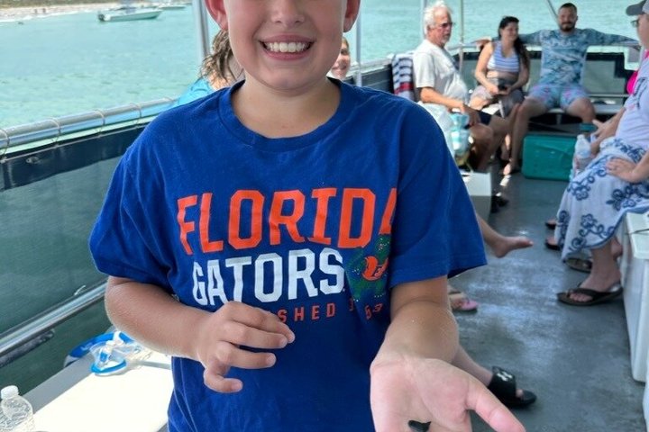 4 Hour Egmont Key Island Tour With Dolphins & Snorkeling Included