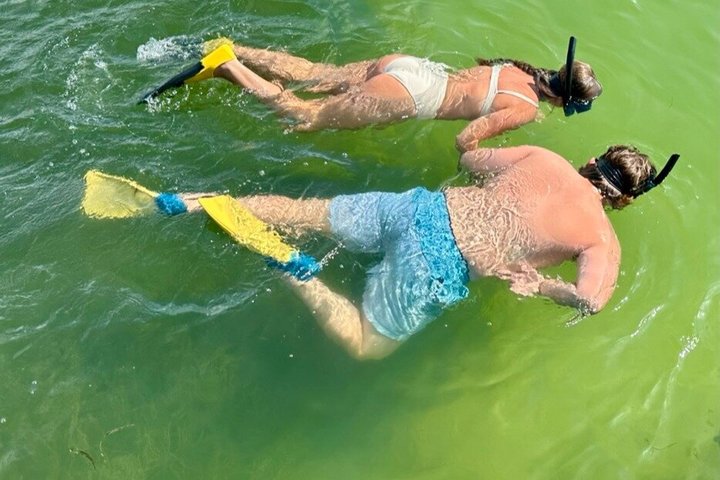 4 Hour Egmont Key Island Tour With Dolphins & Snorkeling Included