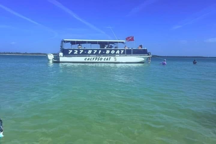 4 Hour Egmont Key Island Tour With Dolphins & Snorkeling Included
