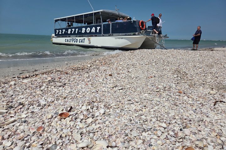 4 Hour Egmont Key Island Tour With Dolphins & Snorkeling Included