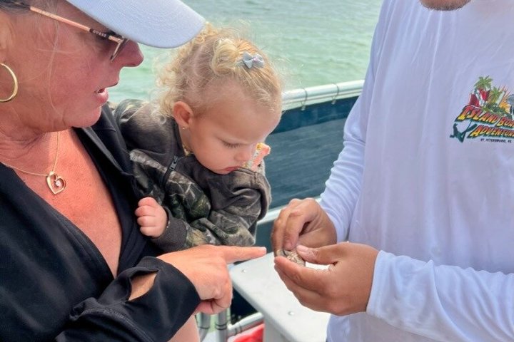 4 Hour Egmont Key Island Tour With Dolphins & Snorkeling Included