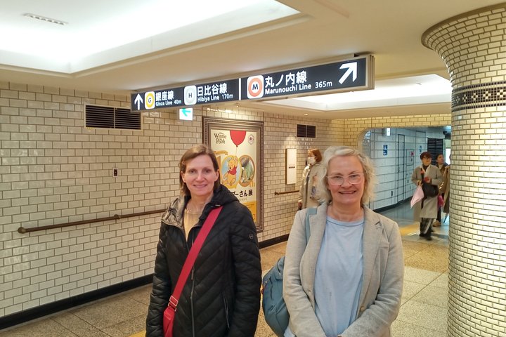 Best of Tokyo Private Tour from Yokohama & Tokyo Ports or Hotels