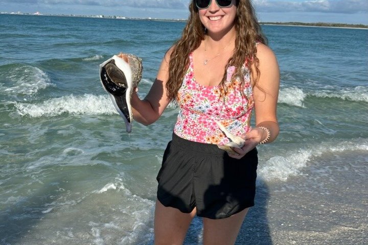 2.5 Hour Shell Key Island Adventure Including Dolphins And Shells