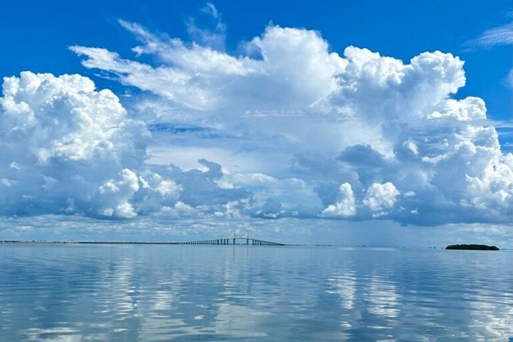 2.5 Hour Shell Key Island Adventure Including Dolphins And Shells