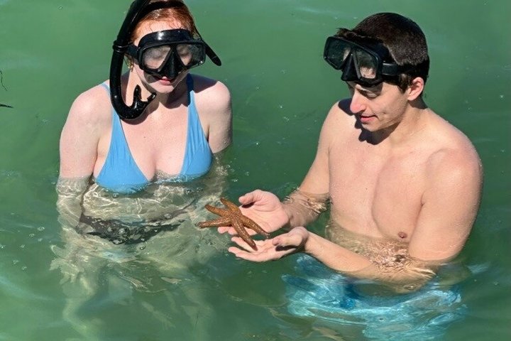 2.5 Hour Shell Key Island Adventure Including Dolphins And Shells