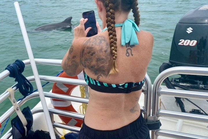 2.5 Hour Shell Key Island Adventure Including Dolphins And Shells