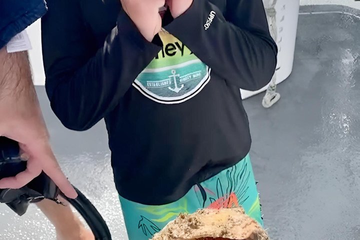 2.5 Hour Shell Key Island Adventure Including Dolphins And Shells
